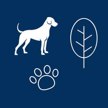 buffo bubblenavi nachhaltigkeit 412x412px